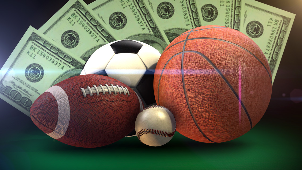 Exciting New Casino Brands to Try in 2025 31