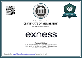Comprehensive Guide to the Exness Registration Page 4 Comprehensive Guide to the Exness Registration Page 4