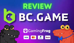 Discover the Benefits of Using Referral Code BC.Game Usa 12