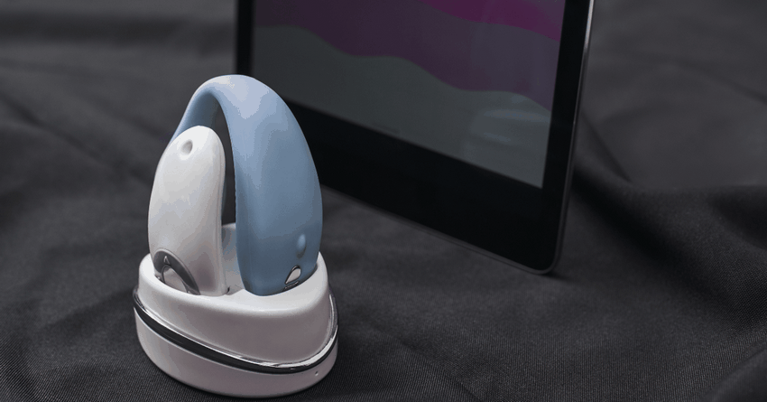 Top Fads Forming the Grownup Market in 2025