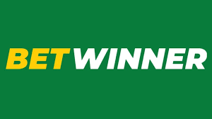 BetWinner Online Gambling Platform An Extensive Review
