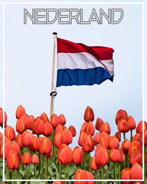 De Evolutie van Hiphop Muziek in Nederland 328153363