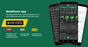 BetWinner Casino Your Ultimate Destination for Online Gaming 520884301