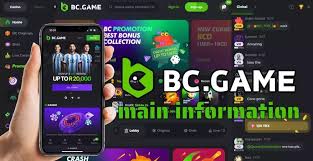 Everything You Need to Know About BC.Game Contact Information